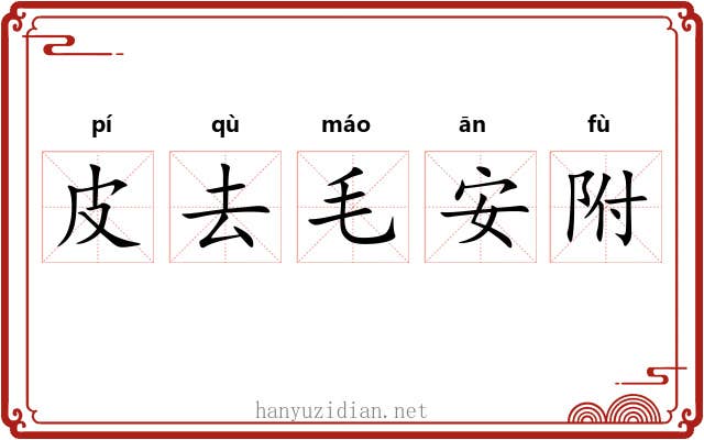 皮去毛安附