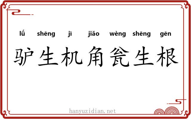 驴生机角瓮生根 驴生机角瓮生根