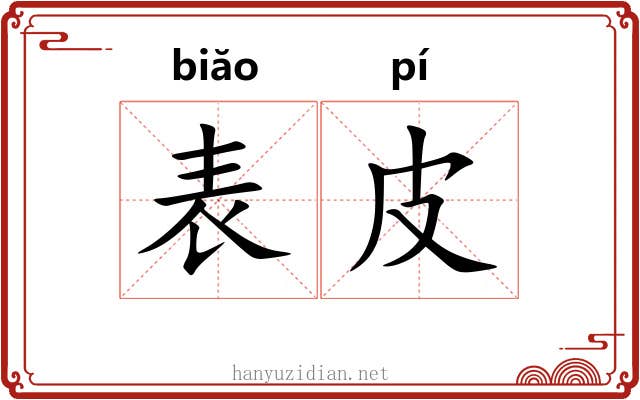 表皮 表皮