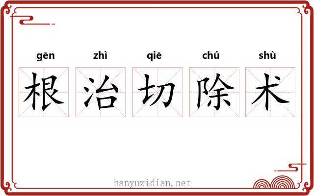 根治切除术 根治切除术
