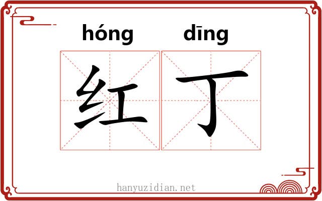 红丁 红丁