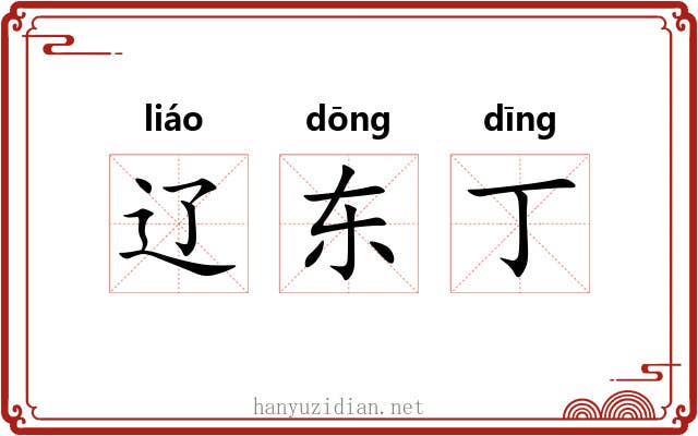 辽东丁 辽东丁