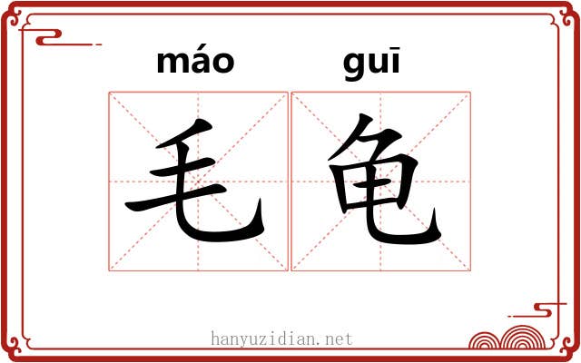 毛龟 毛龟