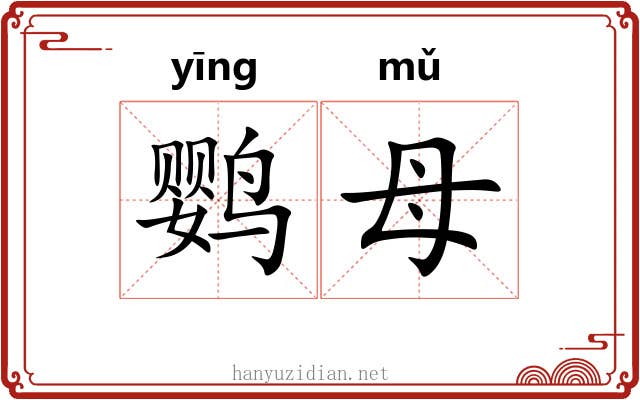 鹦母