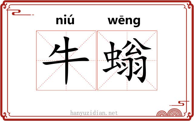 牛螉