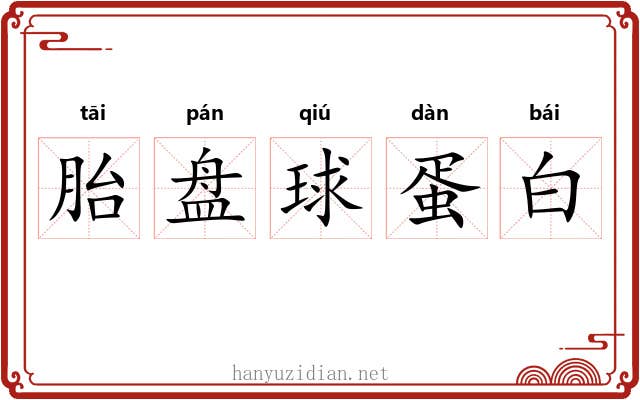 胎盘球蛋白 胎盘球蛋白