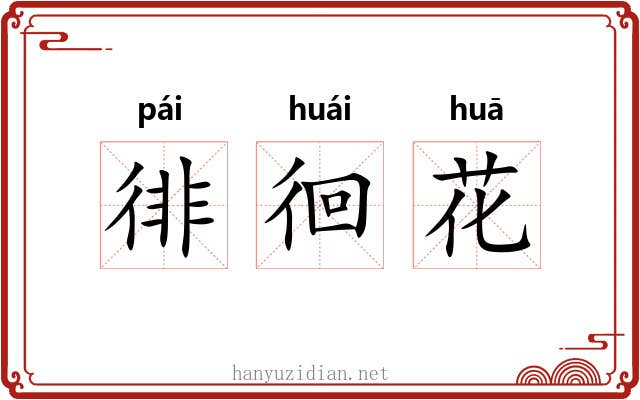 徘徊花 徘徊花