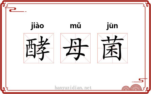 酵母菌 酵母菌