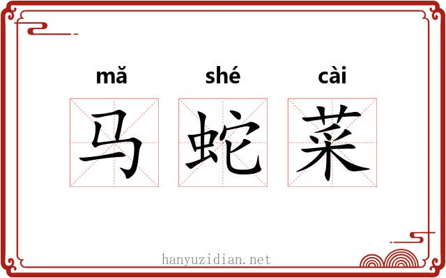 马蛇菜 马蛇菜