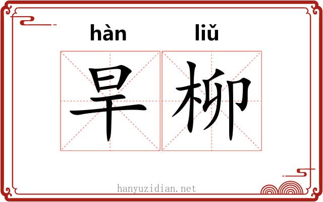 旱柳