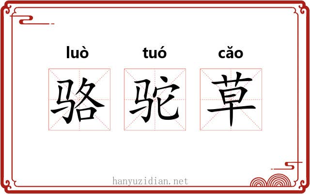 骆驼草 骆驼草