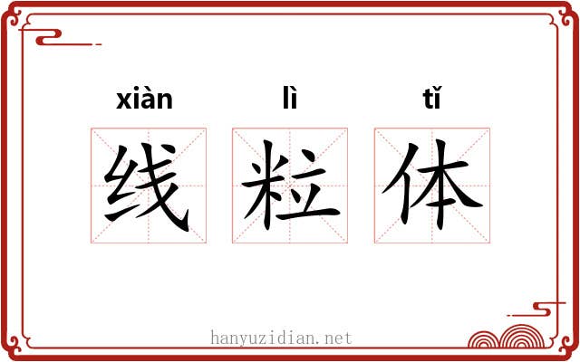 线粒体