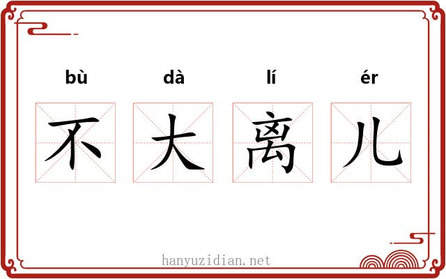 不大离儿