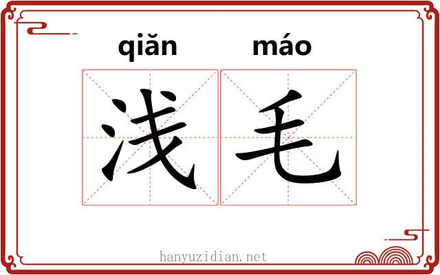 浅毛