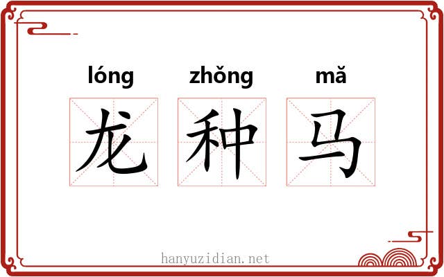 龙种马 龙种马