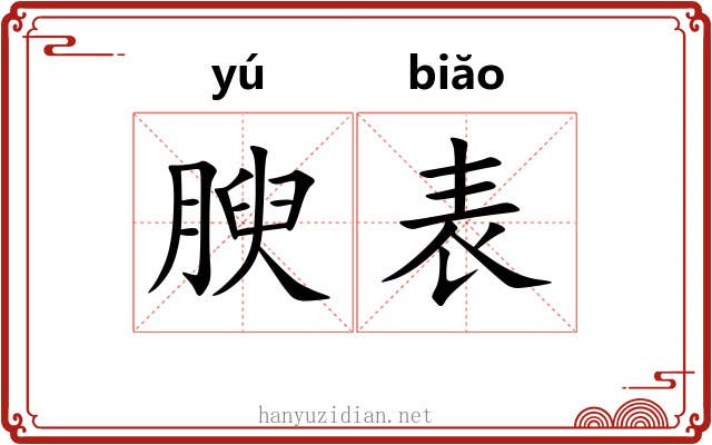 腴表
