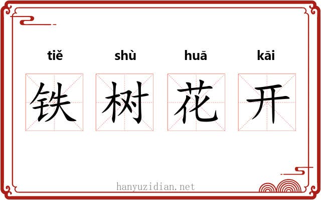 铁树花开 铁树花开