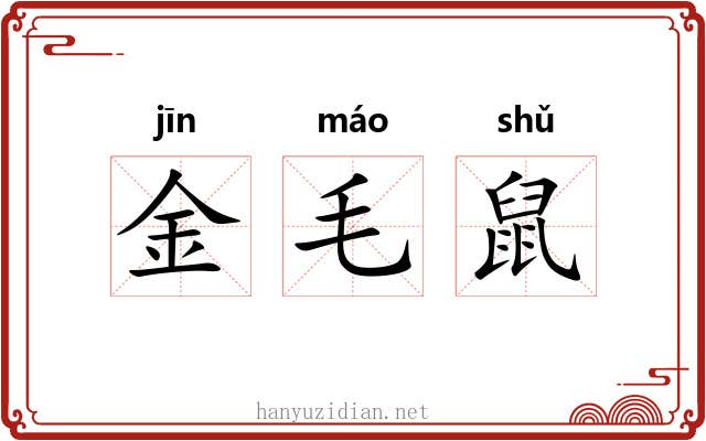 金毛鼠 金毛鼠