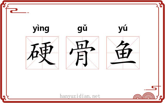 硬骨鱼 硬骨鱼