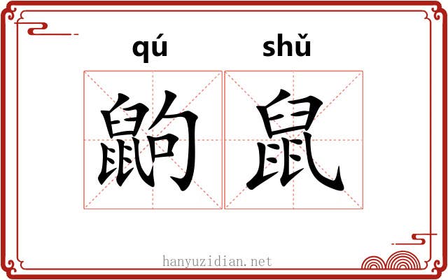 鼩鼠