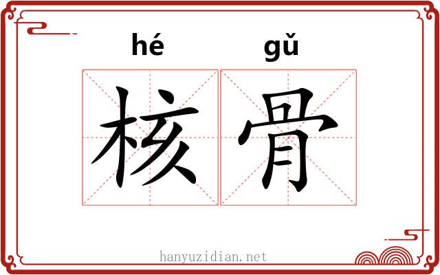 核骨 核骨