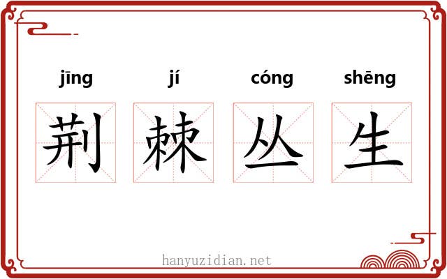荆棘丛生 荆棘丛生