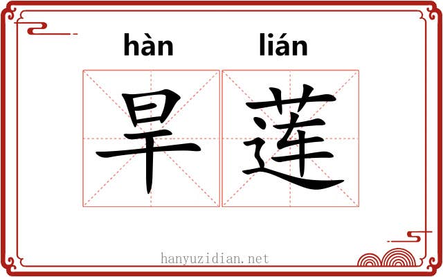 旱莲
