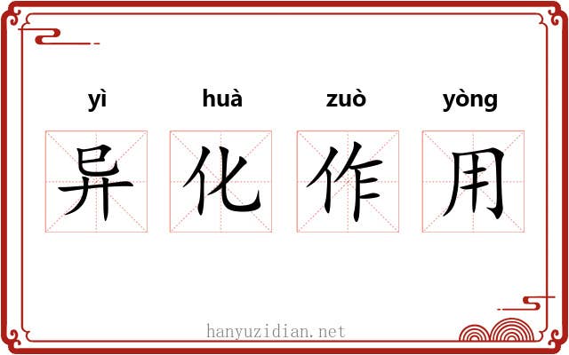 异化作用