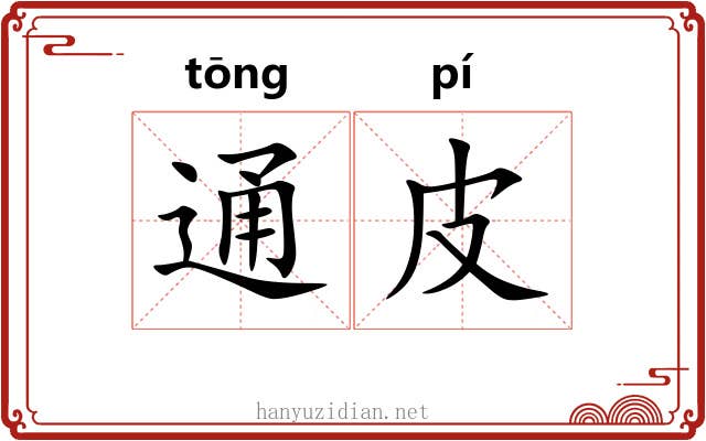 通皮 通皮