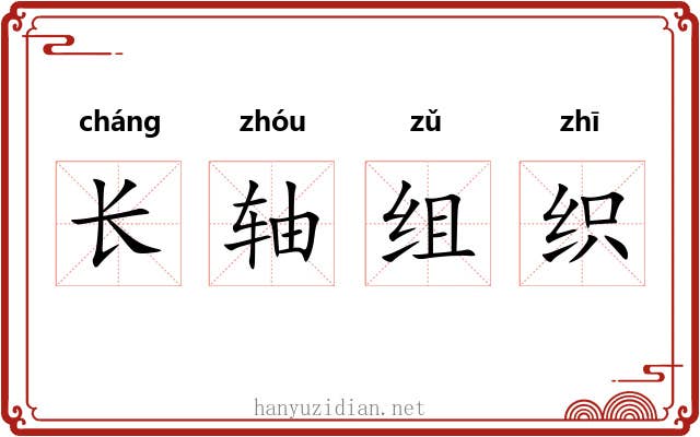 长轴组织 长轴组织