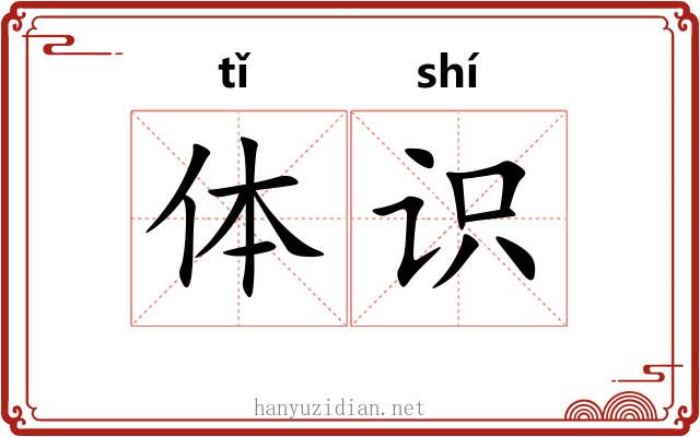 体识