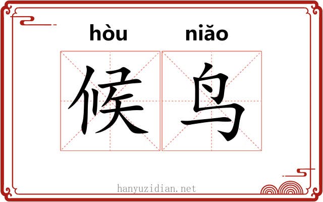 候鸟