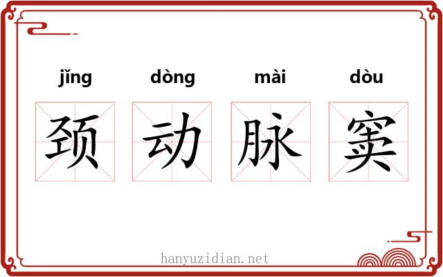 颈动脉窦 颈动脉窦
