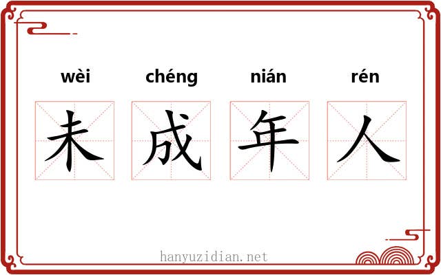 未成年人 未成年人