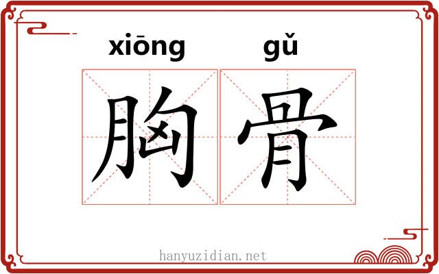 胸骨 胸骨
