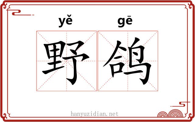 野鸽 野鸽