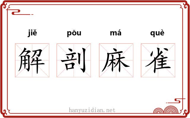 解剖麻雀