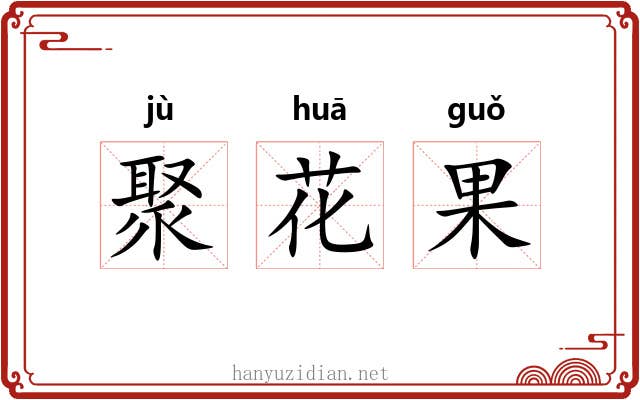 聚花果 聚花果