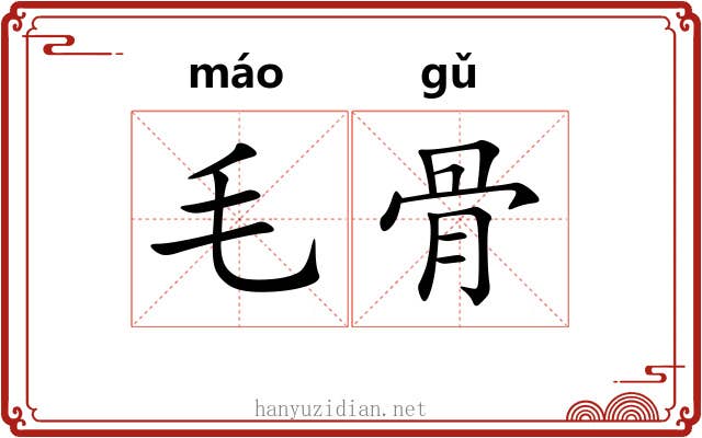 毛骨 毛骨