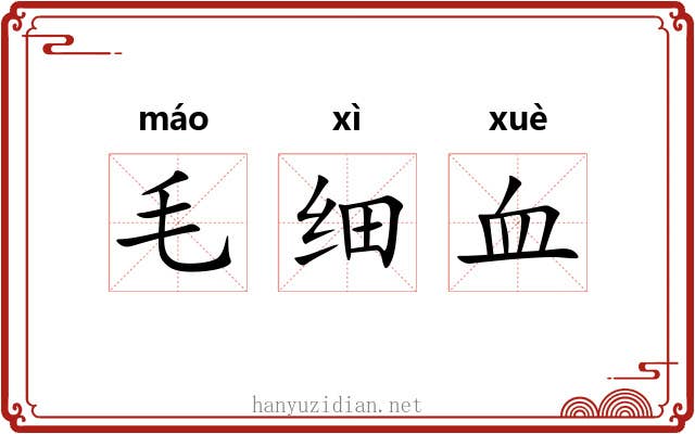 毛细血