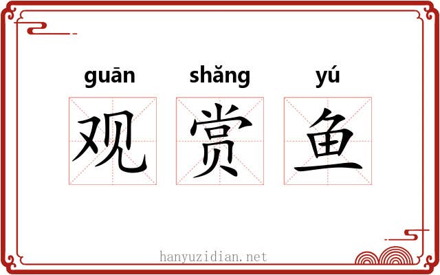观赏鱼 观赏鱼