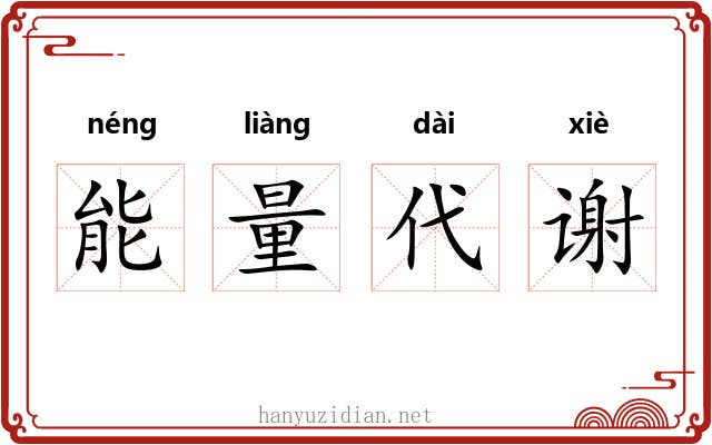 能量代谢 能量代谢