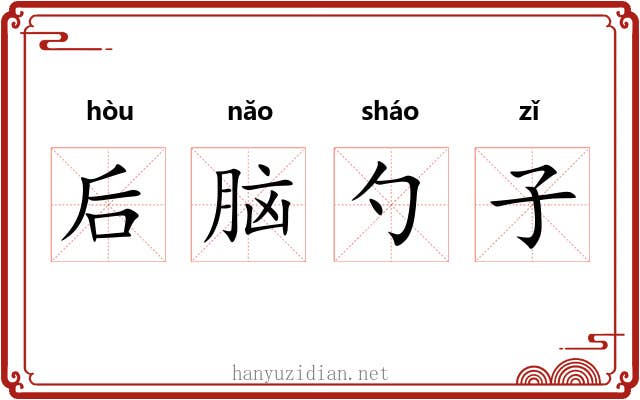 后脑勺子