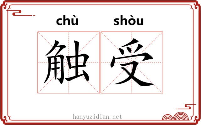 触受