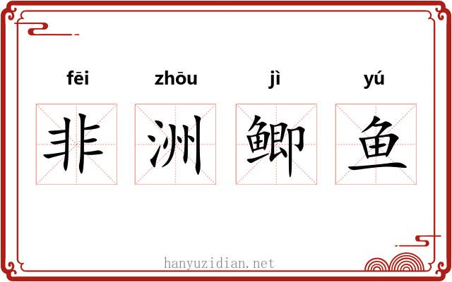 非洲鲫鱼 非洲鲫鱼