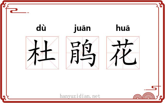 杜鹃花 杜鹃花