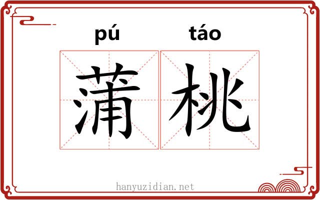 蒲桃