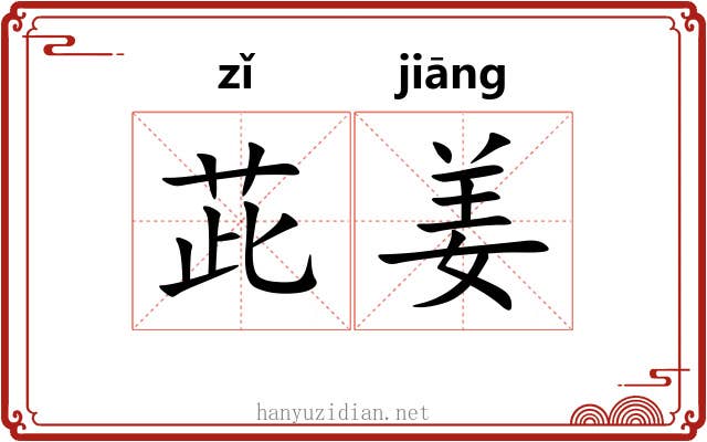 茈姜