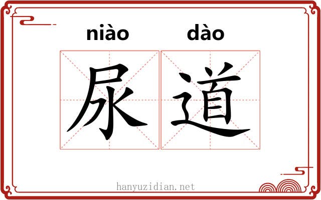 尿道 尿道