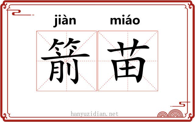 箭苗